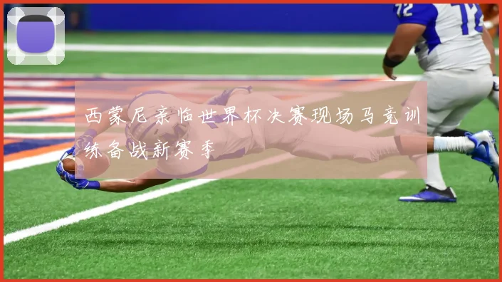 西蒙尼亲临世界杯决赛现场马竞训练备战新赛季